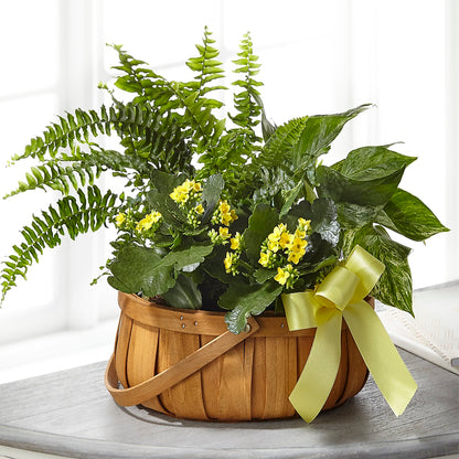 Always Dear Dishgarden –  Carisma Florists, Mississauga ON