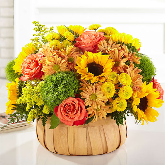 Harvest Sunflower Basket –  Carisma Florists, Mississauga ON