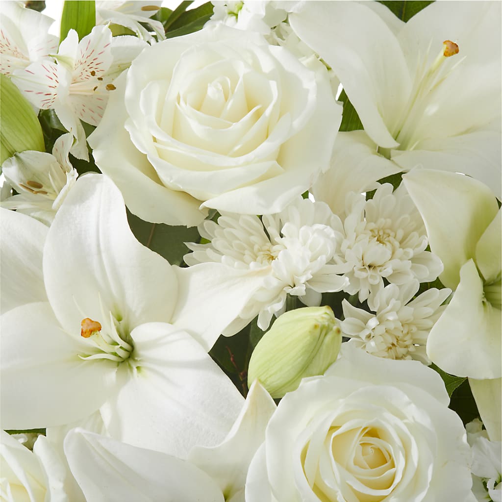 Peaceful Reflections Arrangement –  Carisma Florists, Mississauga ON