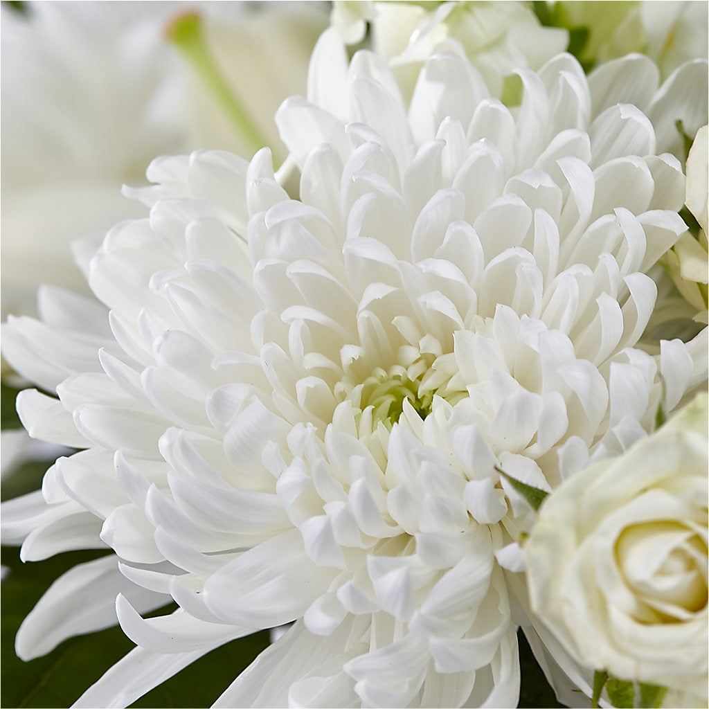 Classic Ivory – A Florist Original –  Carisma Florists, Mississauga ON