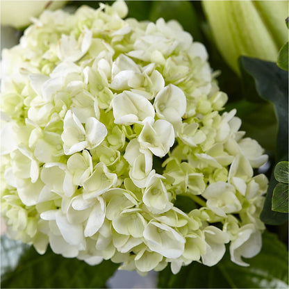 Classic Ivory – A Florist Original –  Carisma Florists, Mississauga ON