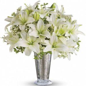 Written in the Stars –  Carisma Florists, Mississauga ON