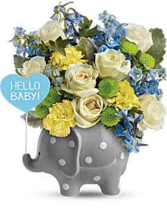 Teleflora's Hello Sweet Baby - Blue