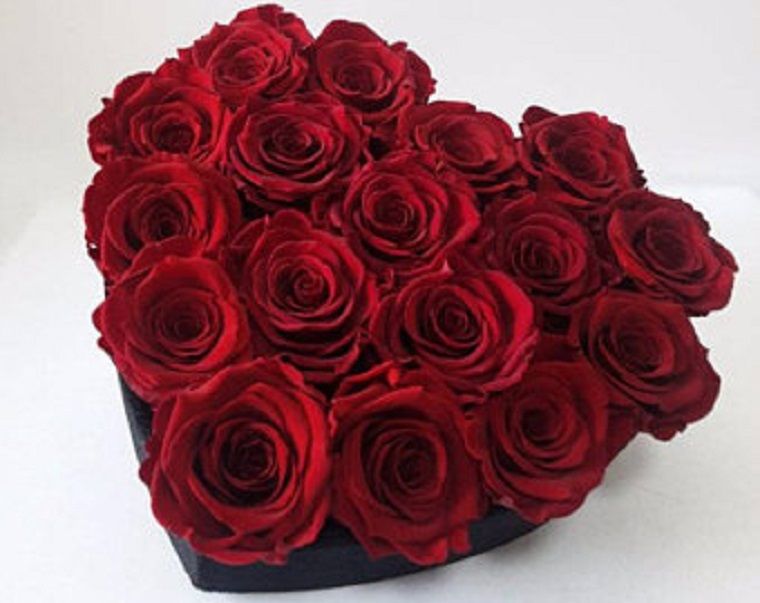 RED ROSE CASKET INSERT