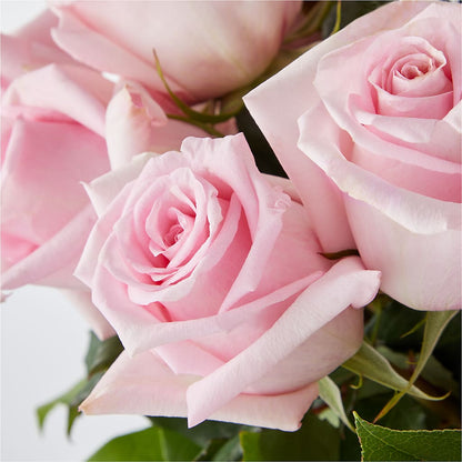 Picture Perfect Pink Rose Bouquet –  Carisma Florists, Mississauga ON