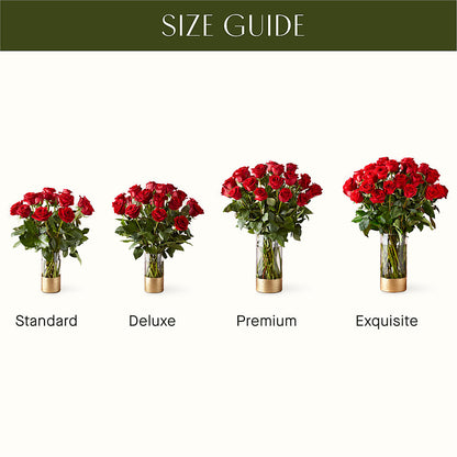 Classic Love Red Rose Bouquet –  Carisma Florists, Mississauga ON