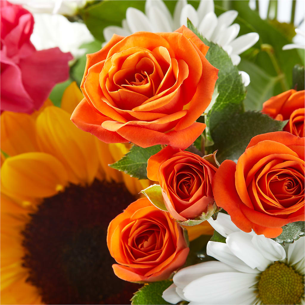 Sun-drenched Blooms Bouquet –  Carisma Florists, Mississauga ON