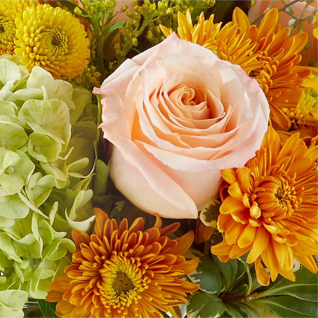Fall Foliage Bouquet –  Carisma Florists, Mississauga ON