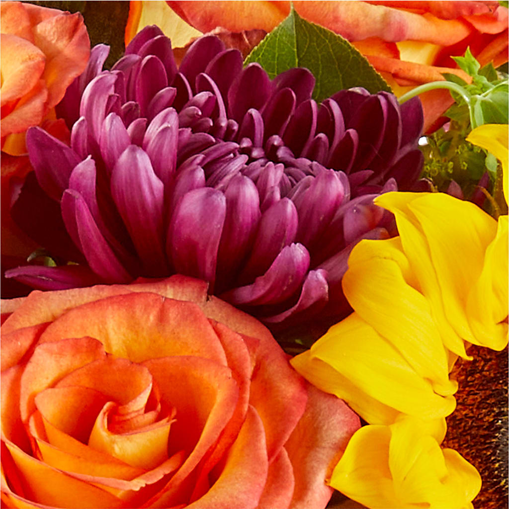 Nature Walk Bouquet –  Carisma Florists, Mississauga ON