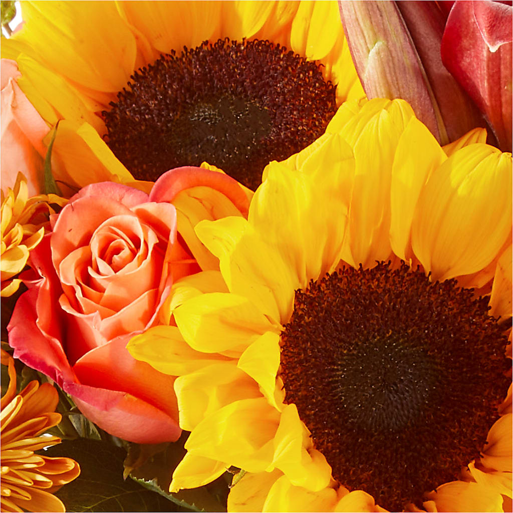 Acorn Lane Bouquet –  Carisma Florists, Mississauga ON