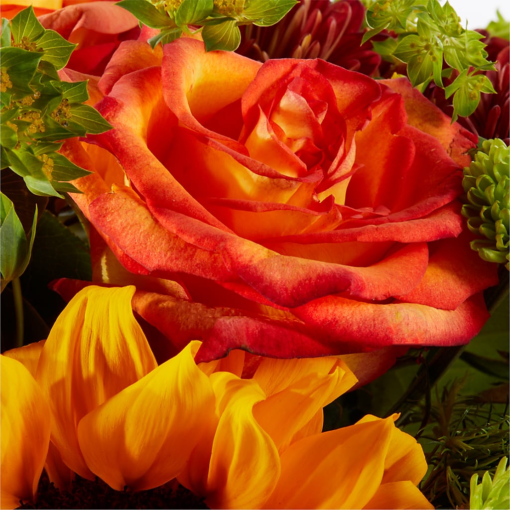 Harvest Festival Bouquet –  Carisma Florists, Mississauga ON