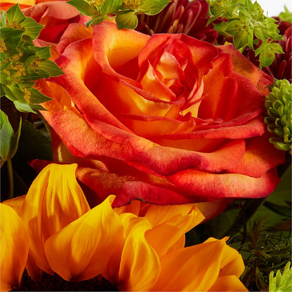 Harvest Festival Bouquet –  Carisma Florists, Mississauga ON