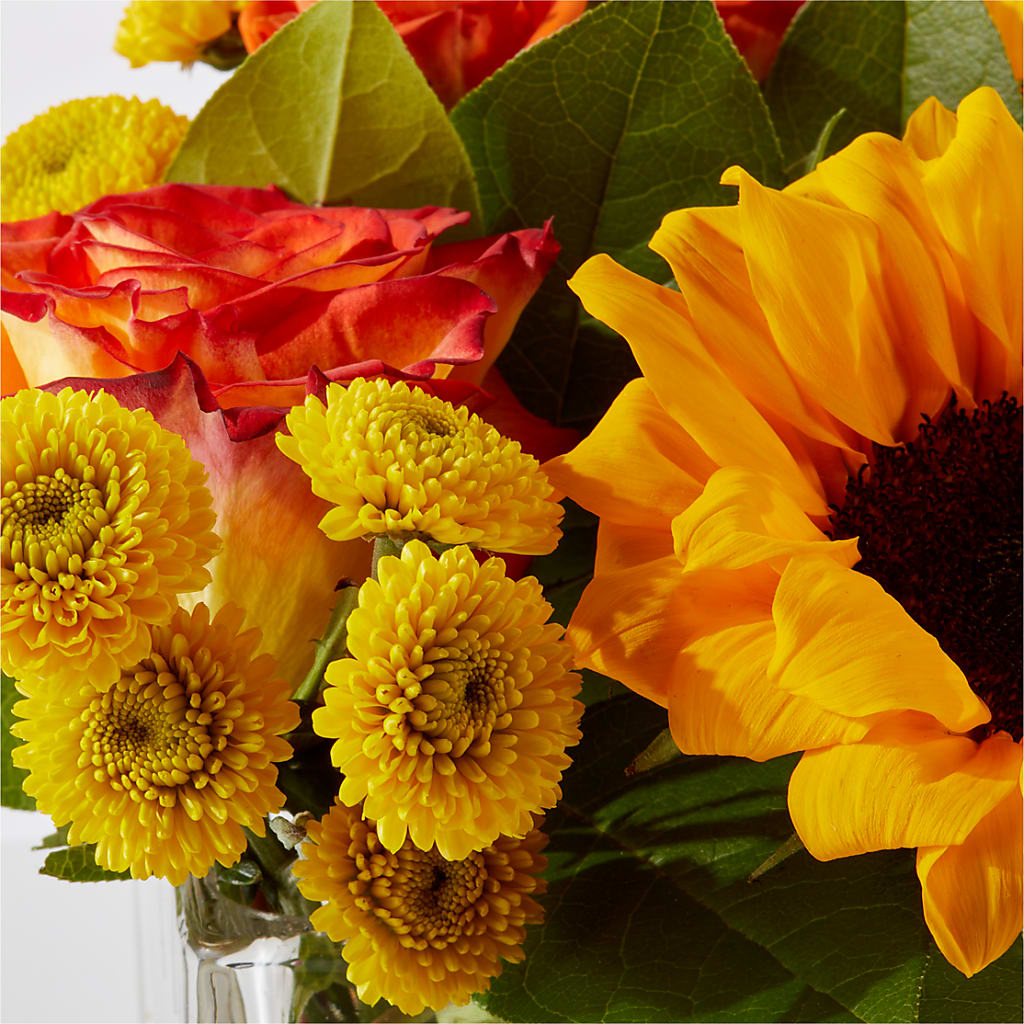 Picnic in the Park Bouquet –  Carisma Florists, Mississauga ON