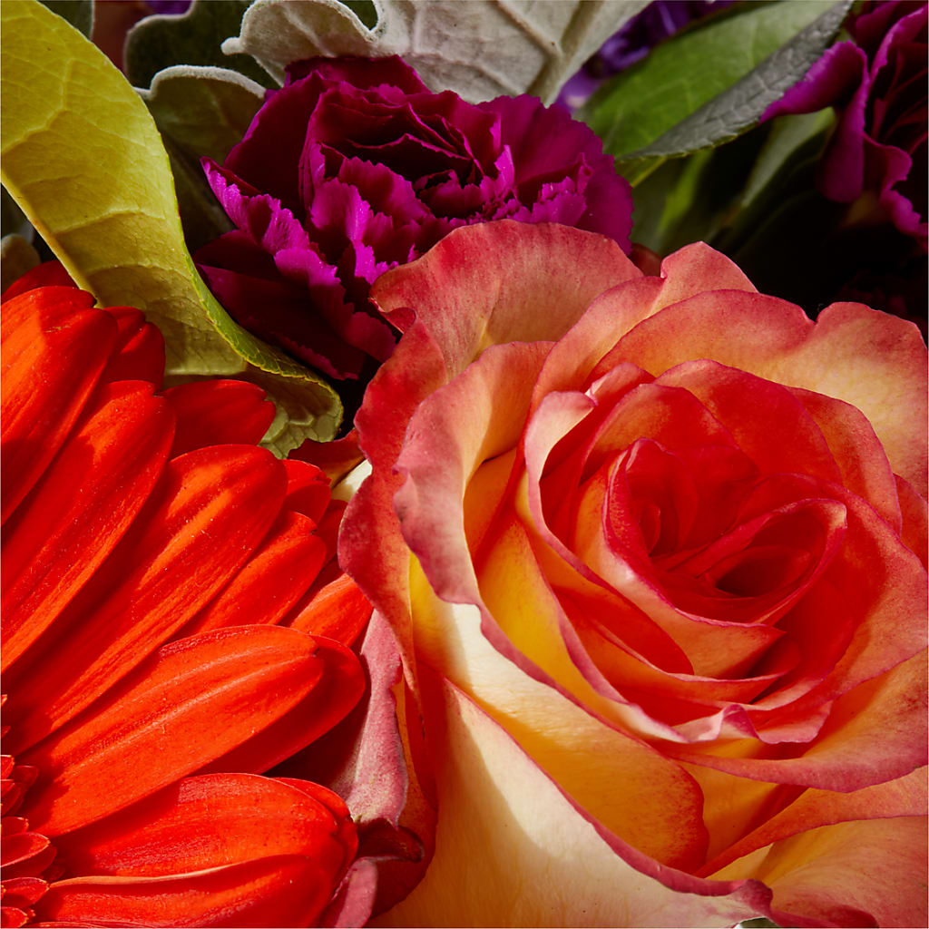 Sangria Bouquet –  Carisma Florists, Mississauga ON