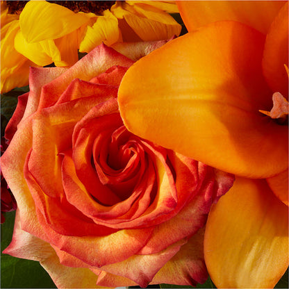 Grateful Centerpiece –  Carisma Florists, Mississauga ON