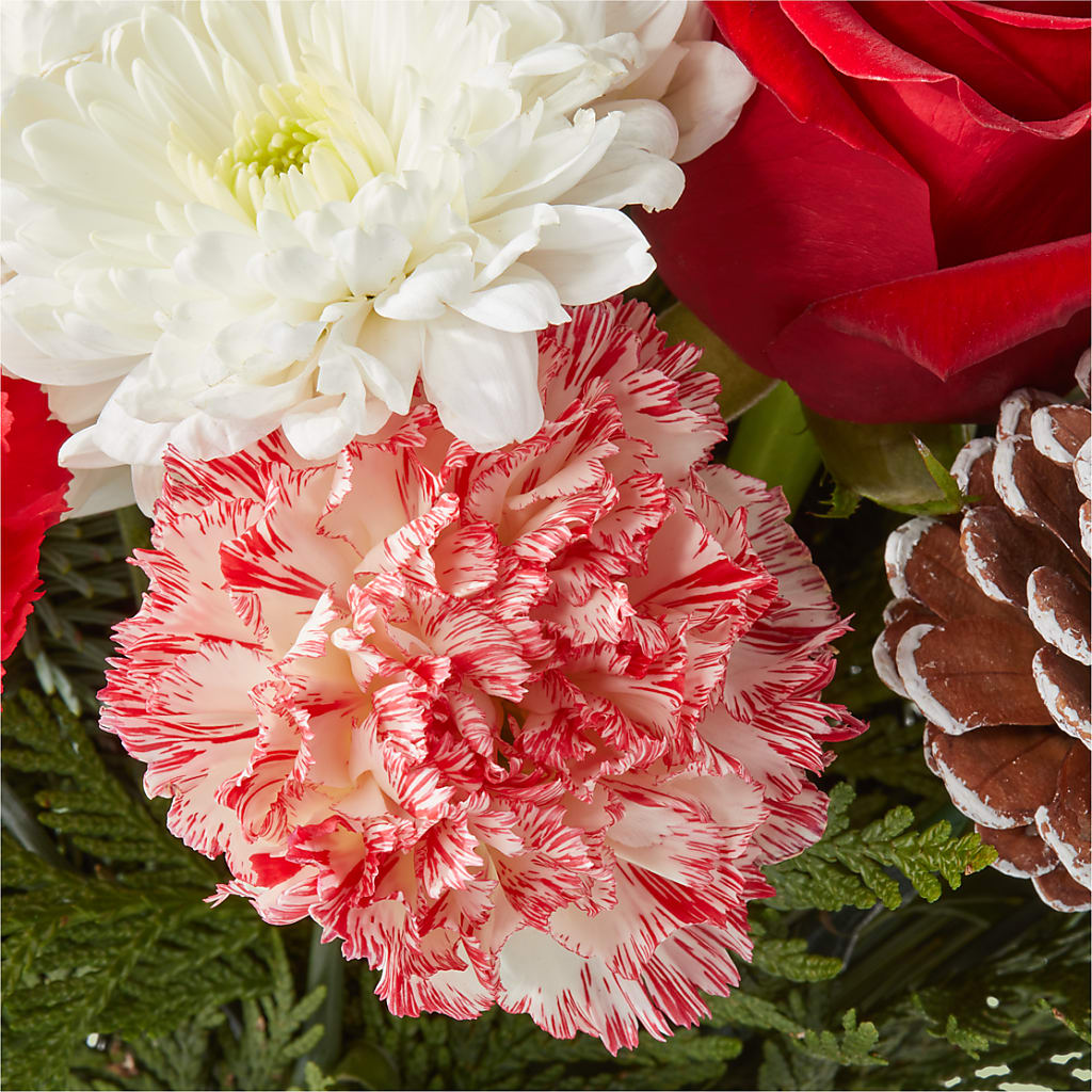 Candy Cane Lane Bouquet –  Carisma Florists, Mississauga ON
