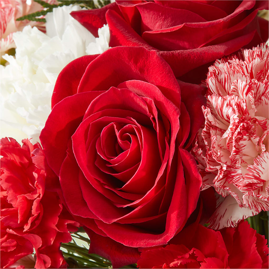 Candy Cane Lane Bouquet –  Carisma Florists, Mississauga ON
