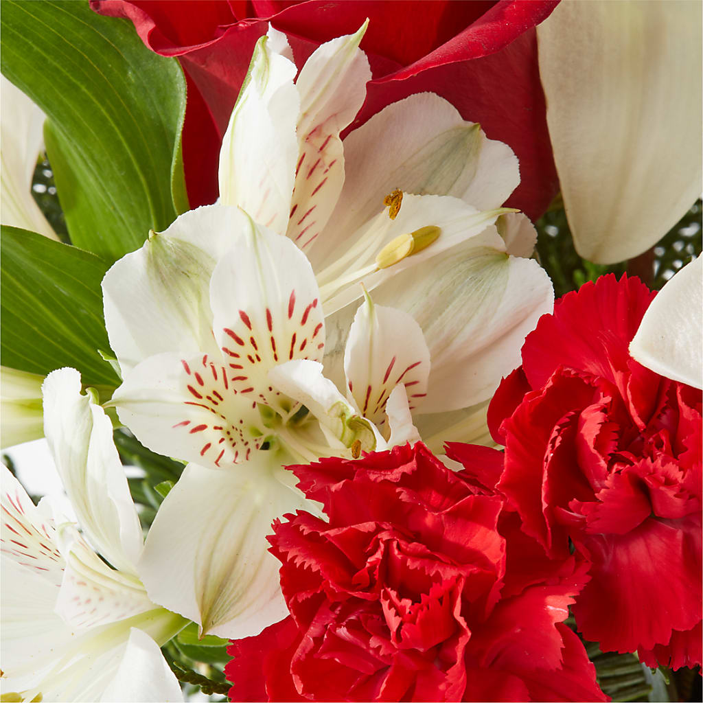 Holiday Season Bouquet –  Carisma Florists, Mississauga ON