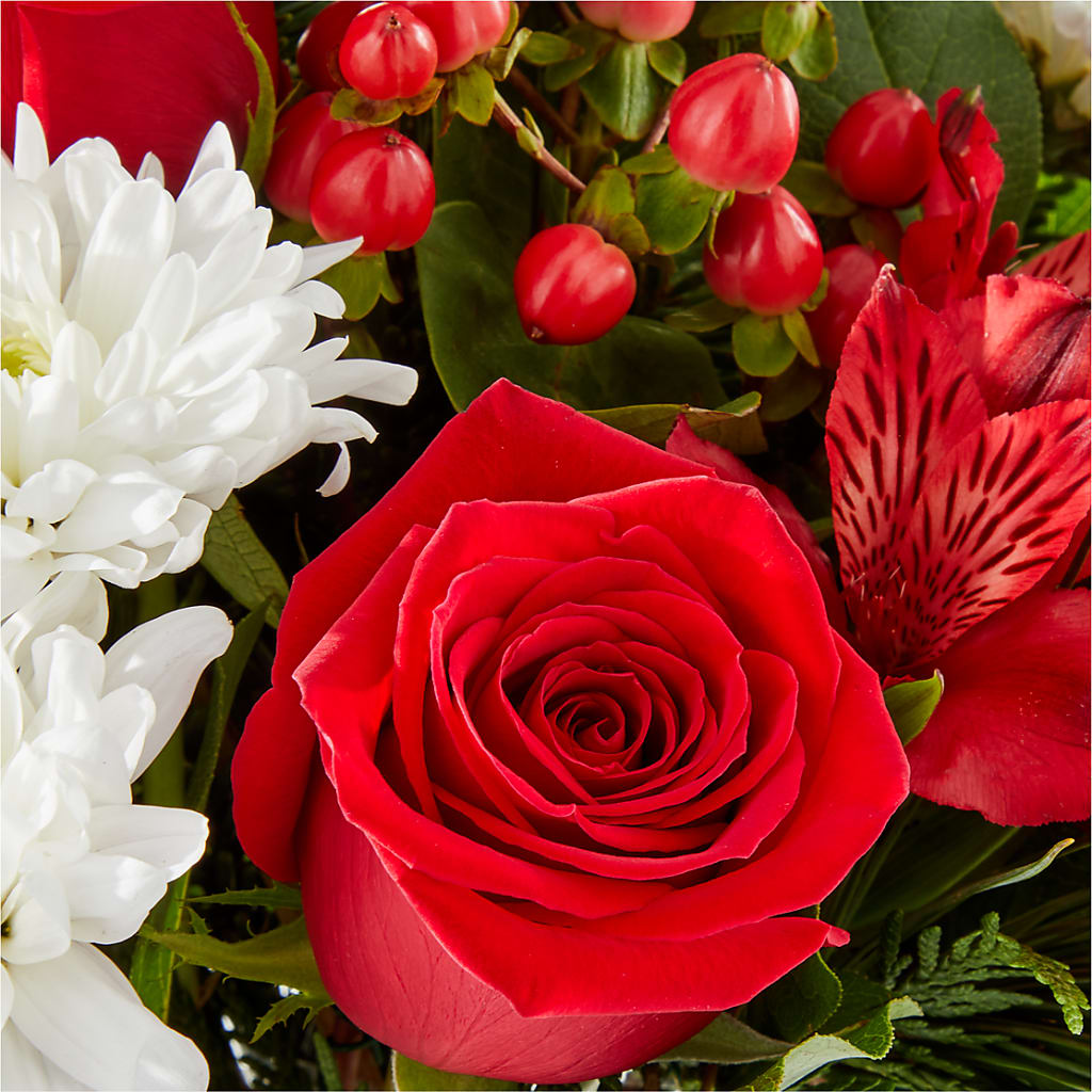 Letters to Santa Bouquet –  Carisma Florists, Mississauga ON
