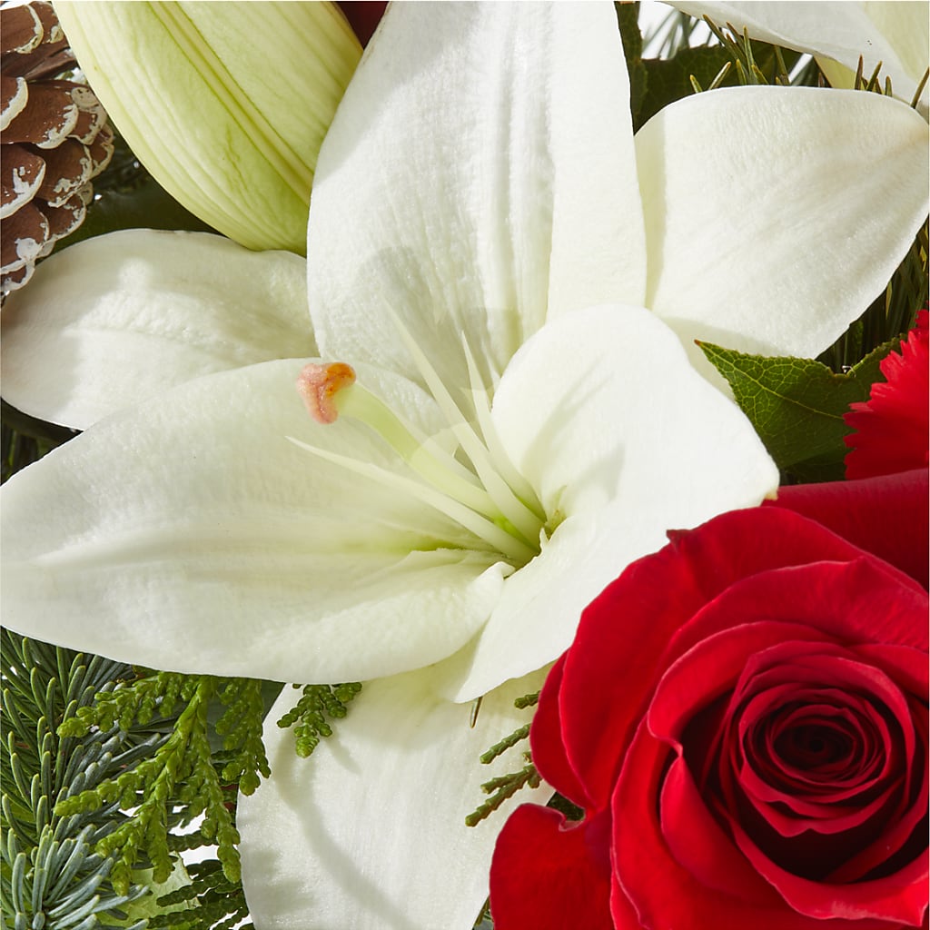 Oh So Jolly Bouquet –  Carisma Florists, Mississauga ON