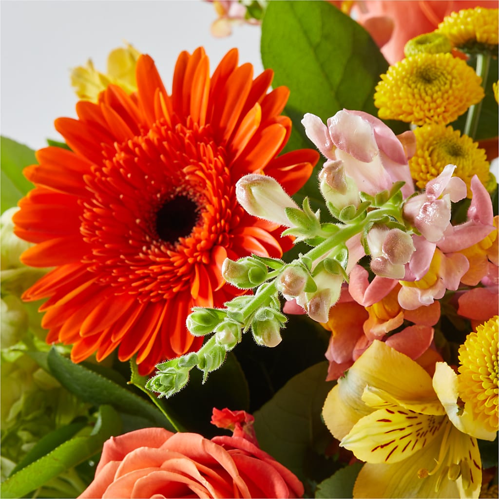 Autumn Sunshine Bouquet –  Carisma Florists, Mississauga ON