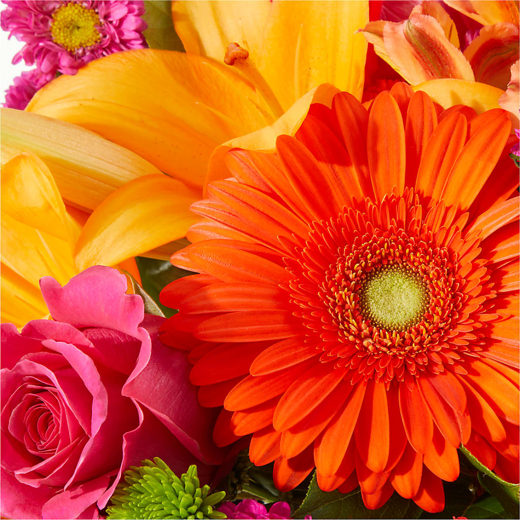 Soiree Bouquet –  Carisma Florists, Mississauga ON