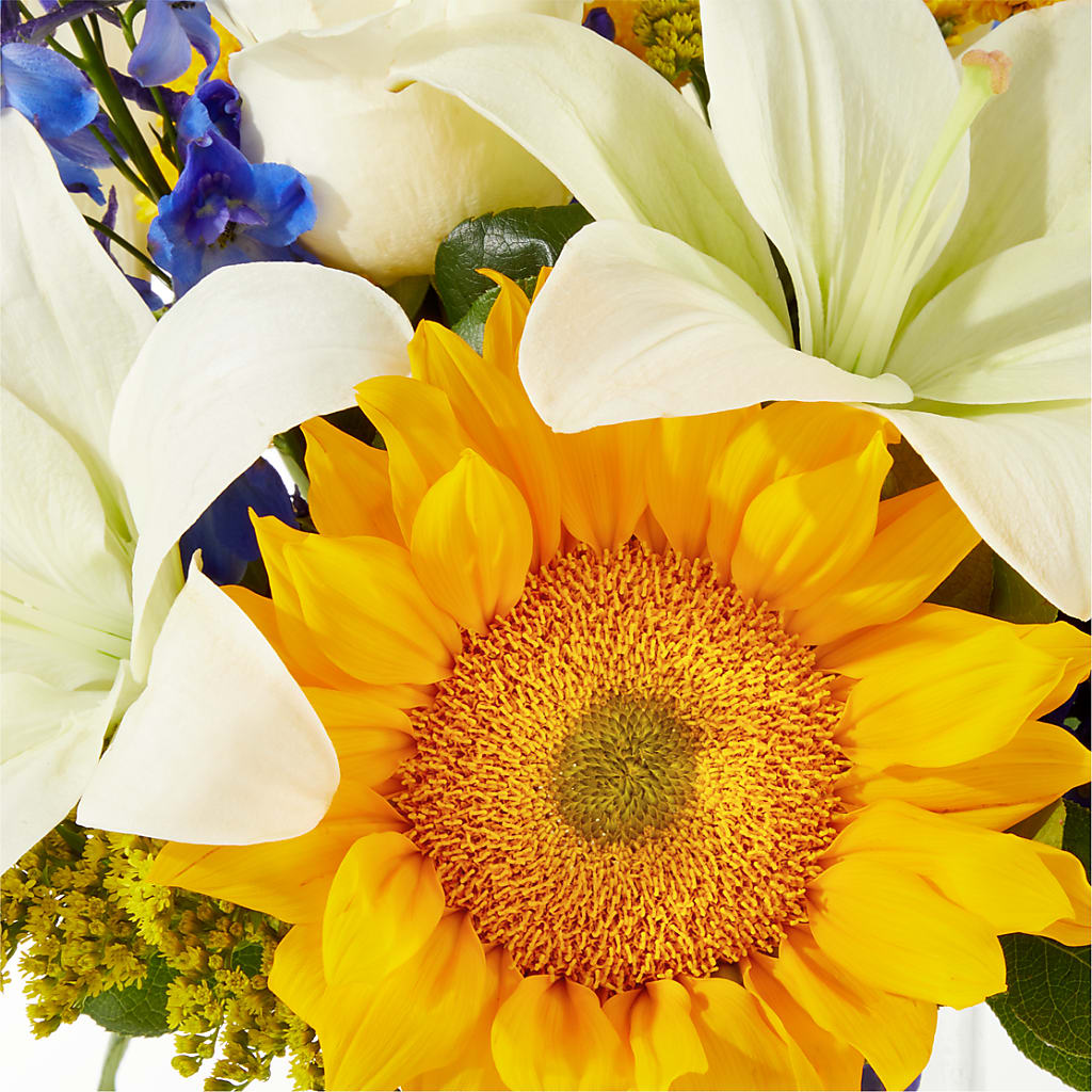 Stargazing Bouquet –  Carisma Florists, Mississauga ON