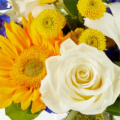 Stargazing Bouquet –  Carisma Florists, Mississauga ON