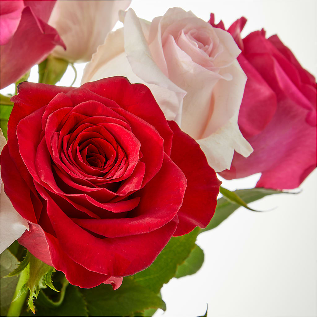 Charming Rose Bouquet –  Carisma Florists, Mississauga ON