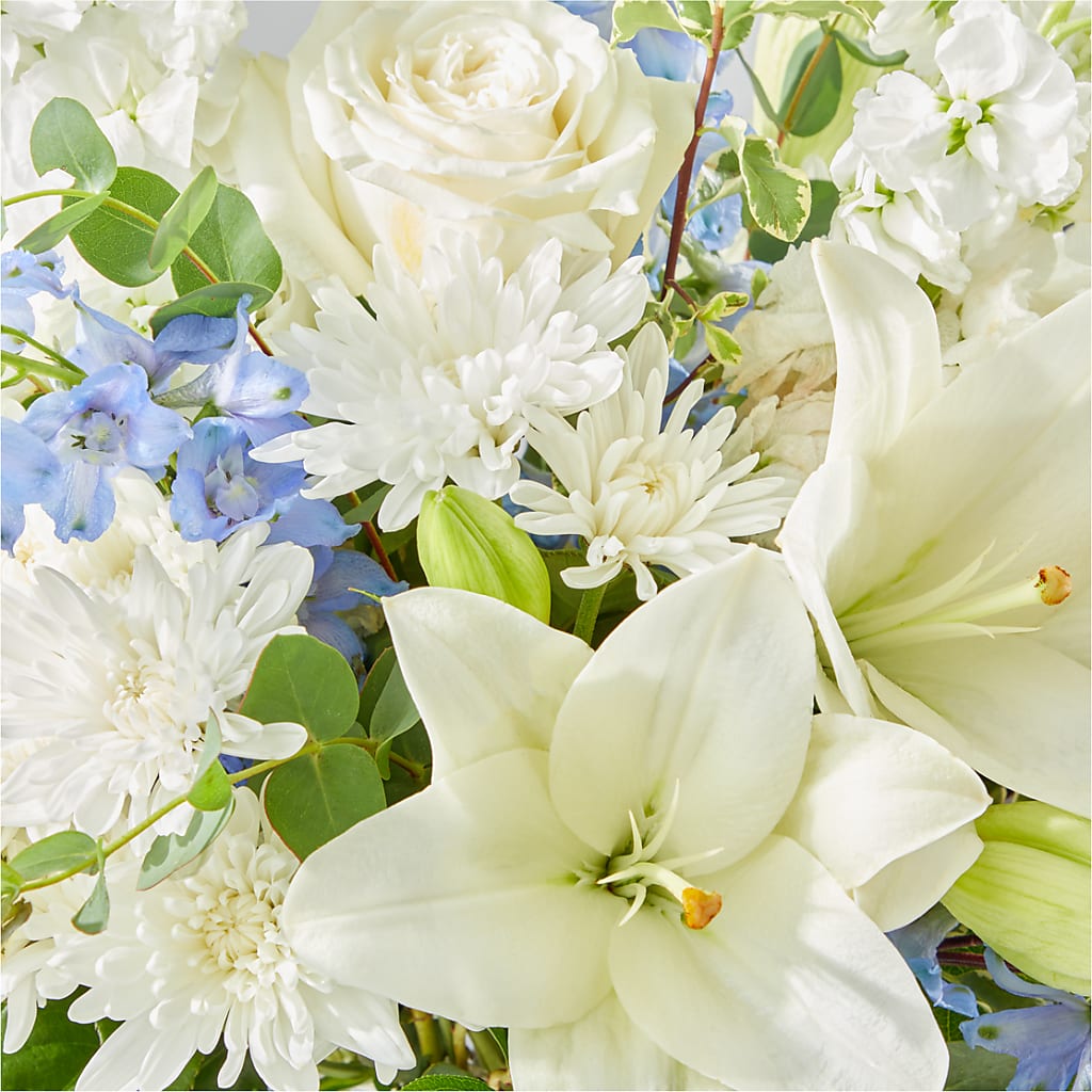 Peace of Mind Bouquet –  Carisma Florists, Mississauga ON