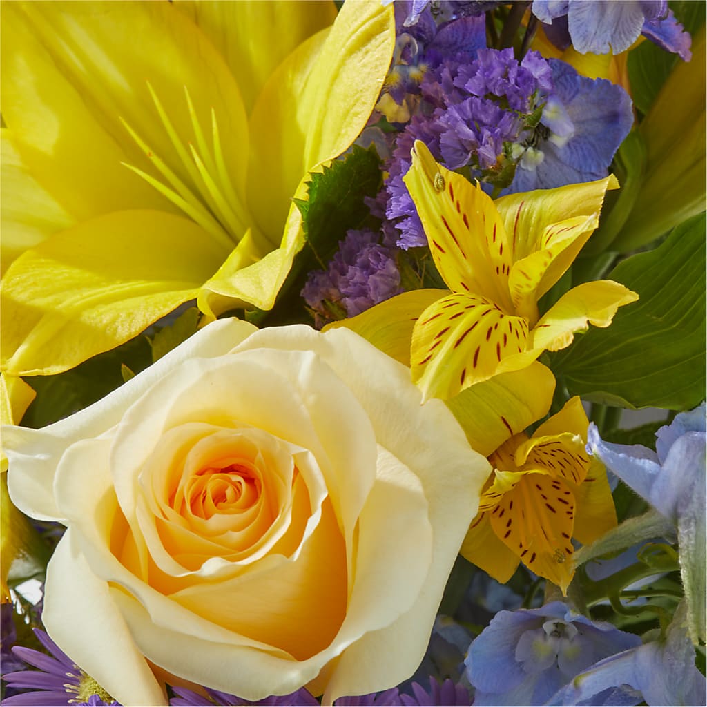 Limoncello Bouquet –  Carisma Florists, Mississauga ON