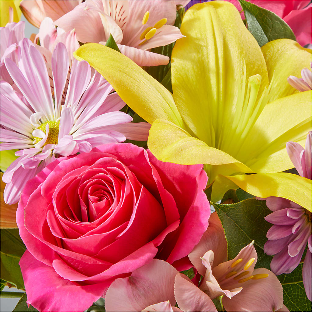 Sprinkles Bouquet –  Carisma Florists, Mississauga ON