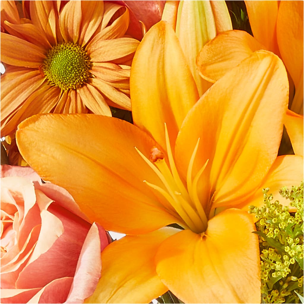 Harvest Hayride Bouquet –  Carisma Florists, Mississauga ON