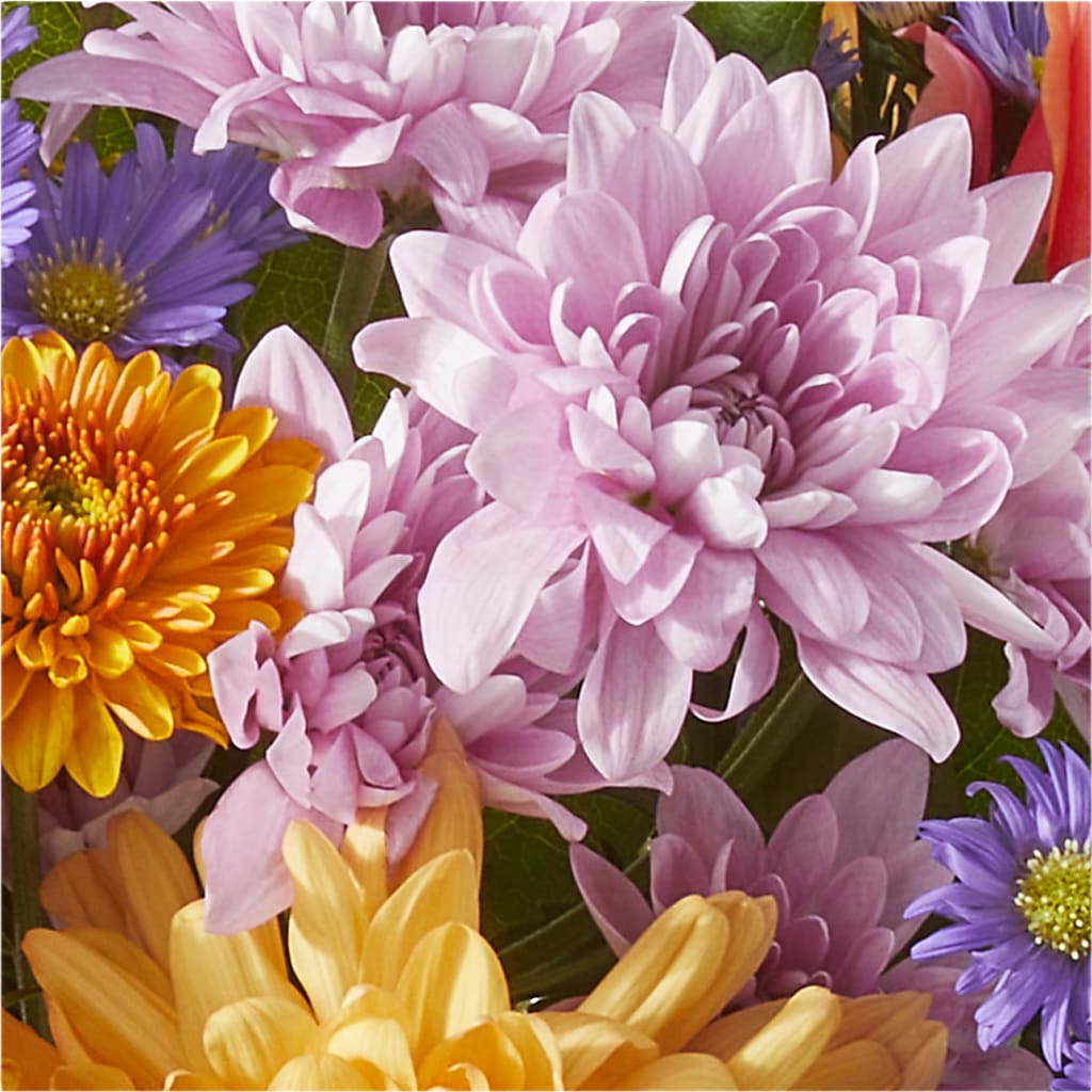 Countryside Bouquet –  Carisma Florists, Mississauga ON