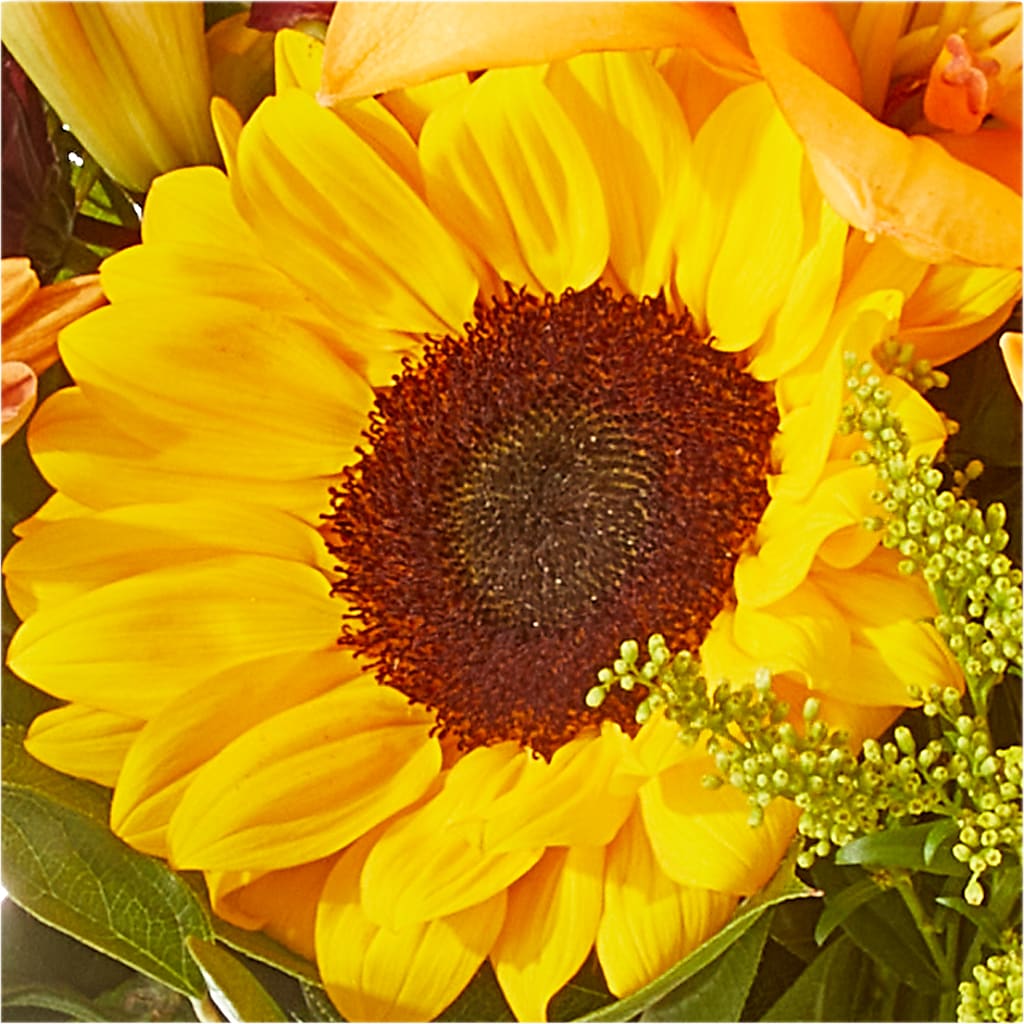 Seasons Change Bouquet –  Carisma Florists, Mississauga ON