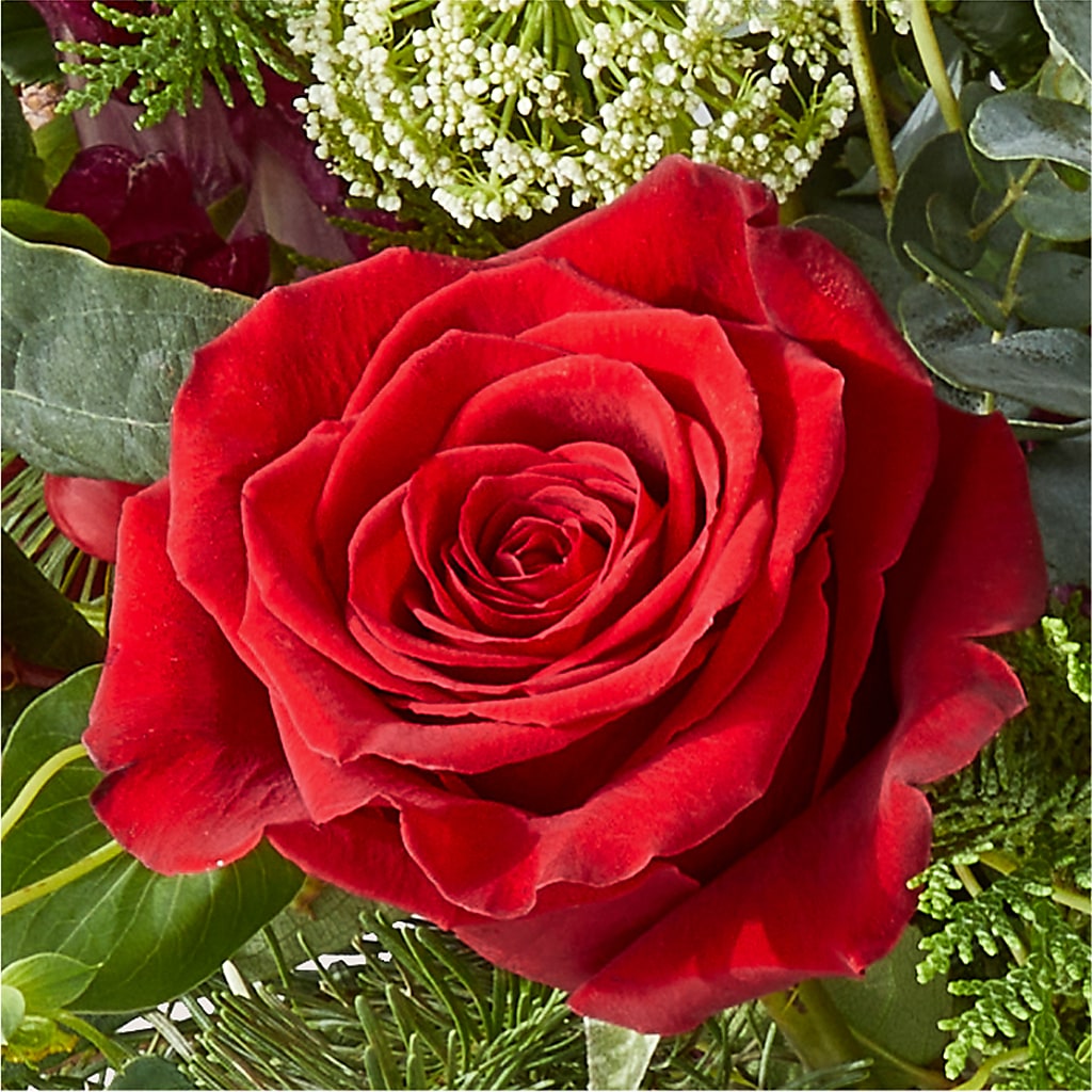 Cranberry Fizz Bouquet –  Carisma Florists, Mississauga ON