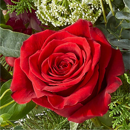 Cranberry Fizz Bouquet –  Carisma Florists, Mississauga ON
