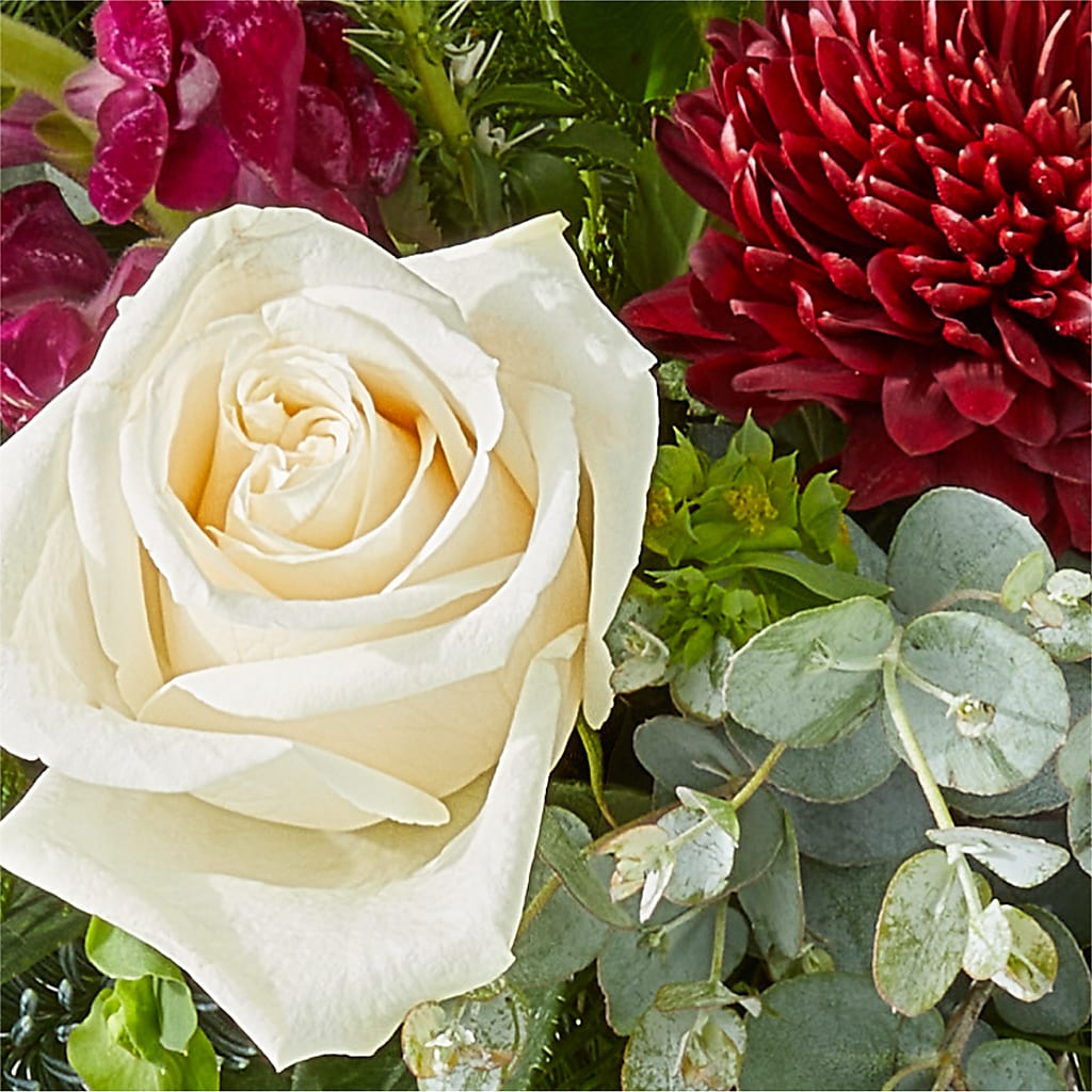 Cranberry Fizz Bouquet –  Carisma Florists, Mississauga ON