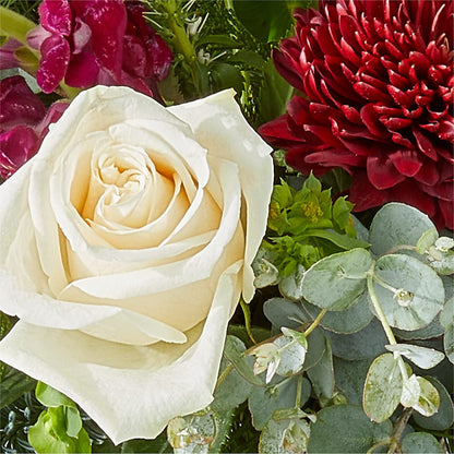 Cranberry Fizz Bouquet –  Carisma Florists, Mississauga ON