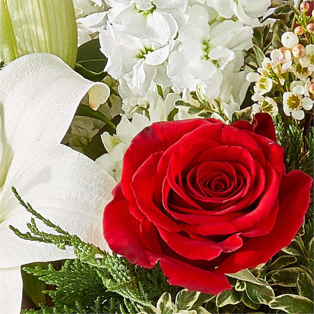 Twinkle Lights Bouquet –  Carisma Florists, Mississauga ON