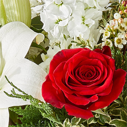 Twinkle Lights Bouquet –  Carisma Florists, Mississauga ON