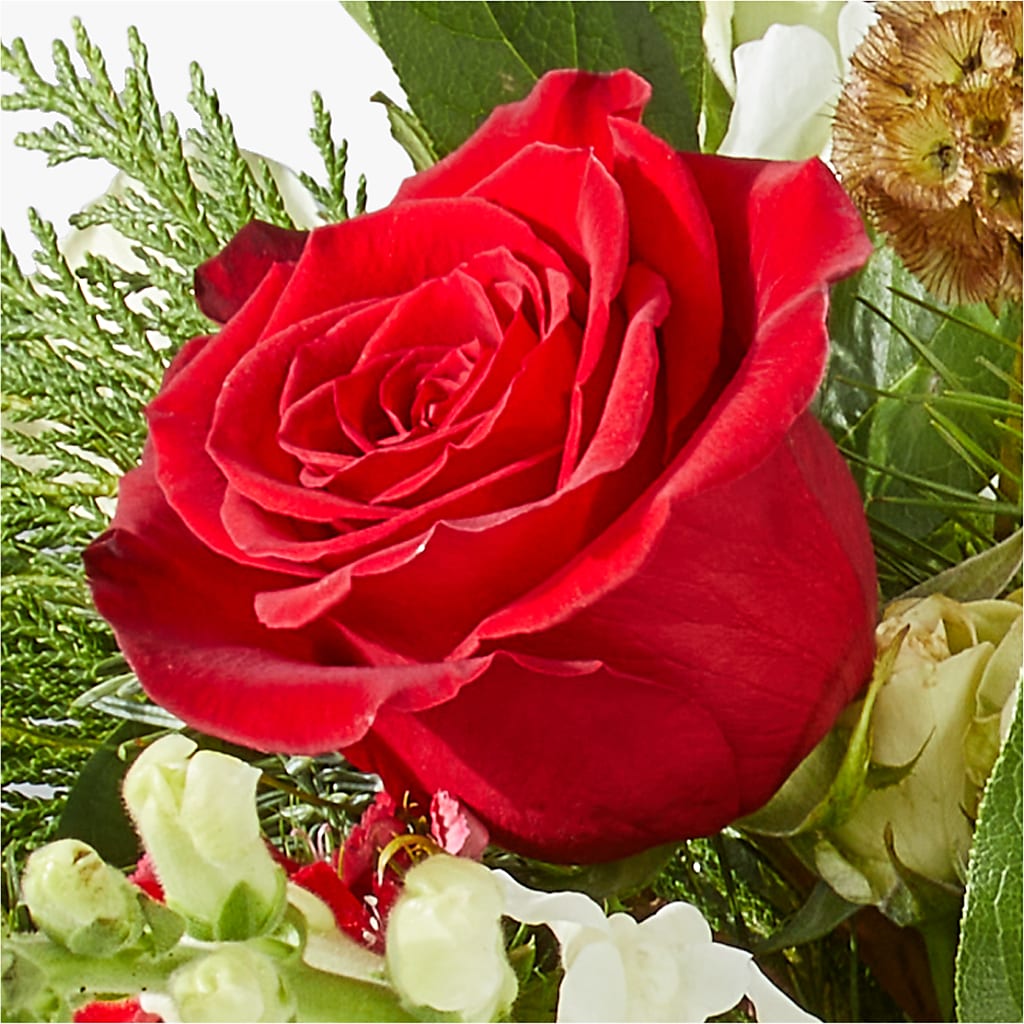 Deck the Halls Bouquet –  Carisma Florists, Mississauga ON