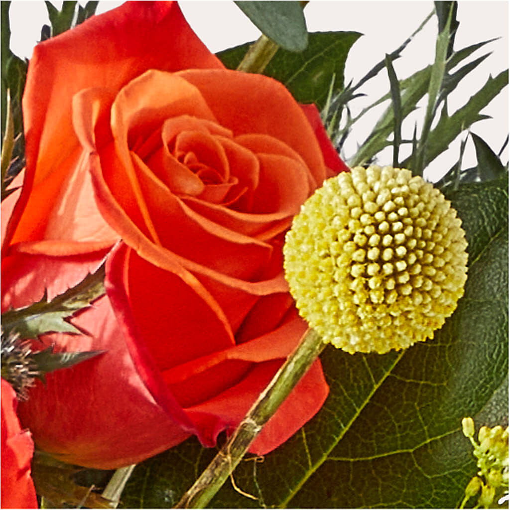 Disco Bouquet –  Carisma Florists, Mississauga ON