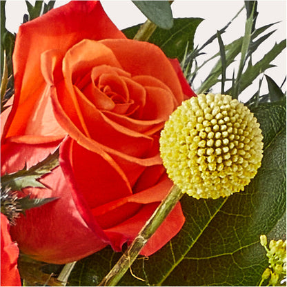 Disco Bouquet –  Carisma Florists, Mississauga ON