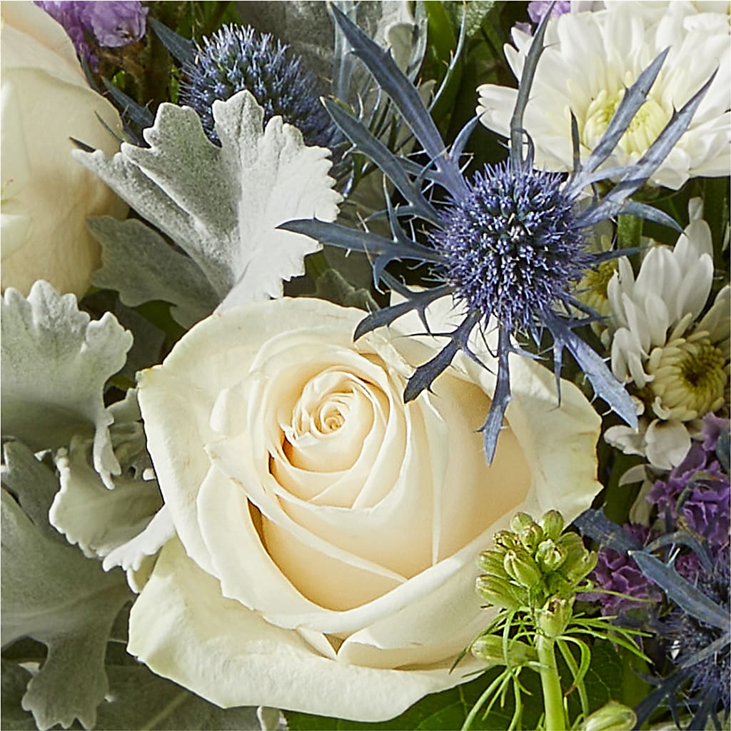 Shooting Star Bouquet –  Carisma Florists, Mississauga ON