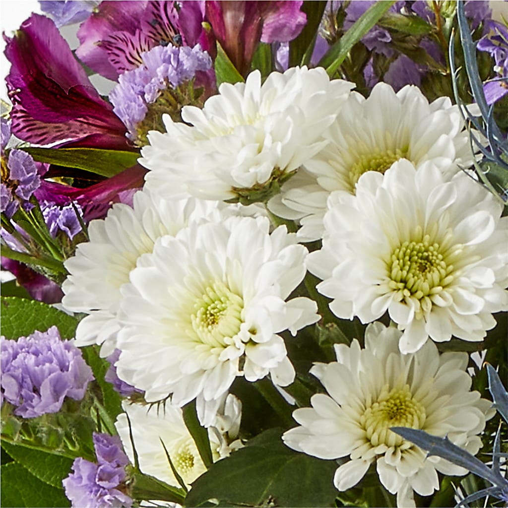 Shooting Star Bouquet –  Carisma Florists, Mississauga ON