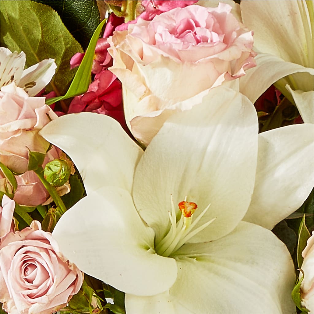 Ballet Slippers Bouquet –  Carisma Florists, Mississauga ON