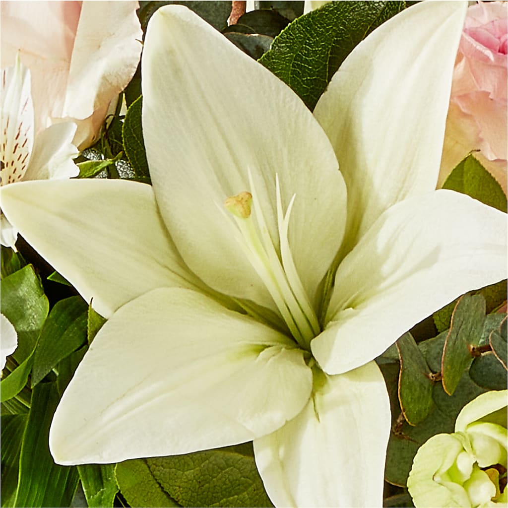 Ballet Slippers Bouquet –  Carisma Florists, Mississauga ON