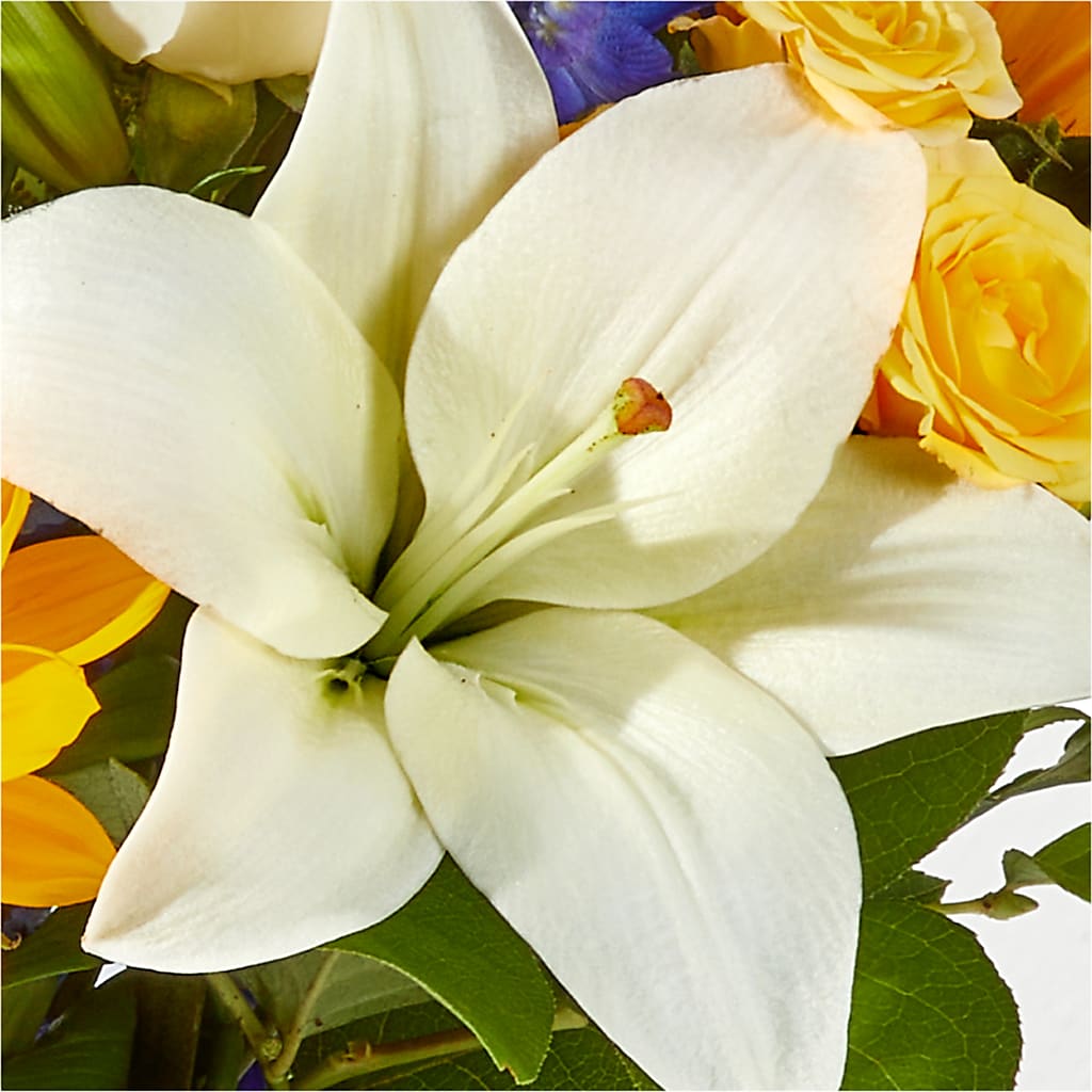 Wonderfully Sunny Bouquet –  Carisma Florists, Mississauga ON