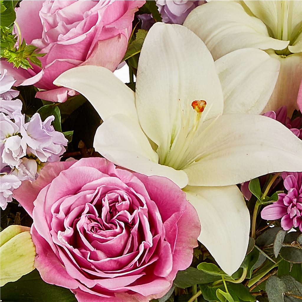 Daydreamer Bouquet –  Carisma Florists, Mississauga ON